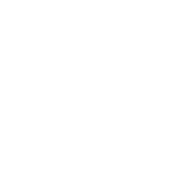 20250306 (Logo)